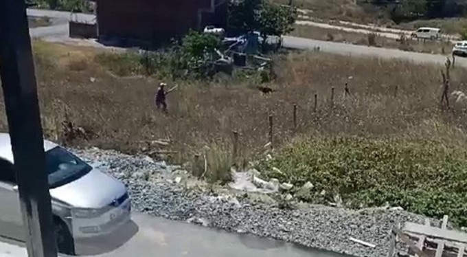 İnsanlık dışı görüntüler! Av tüfeğiyle sokak ortasında köpeklere ateş açtı