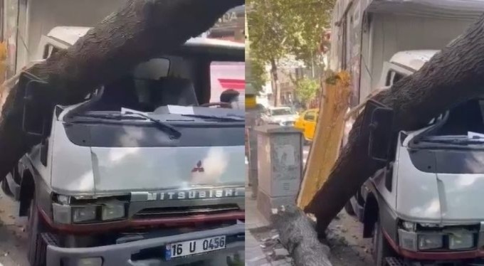 Bursa'da ağaç kamyonetin üzerine devrildi!