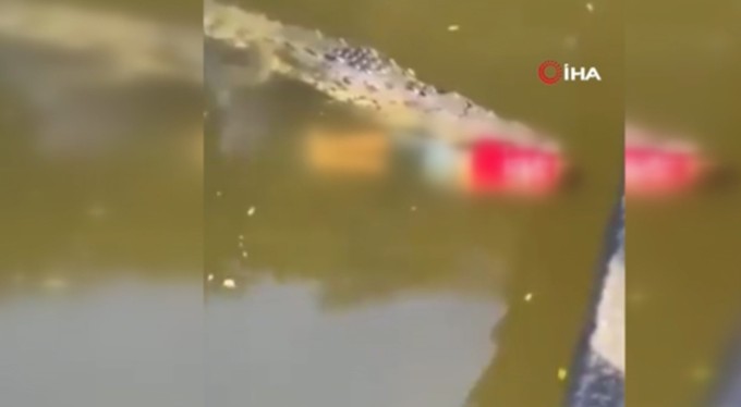 Genç futbolcu timsah saldırısında vahşice can verdi