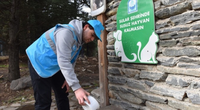 Yıldırım Belediyesi yaz sıcaklarında da sokak hayvanlarının yanında