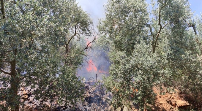 Bursa'da dört noktada aynı anda yangın!