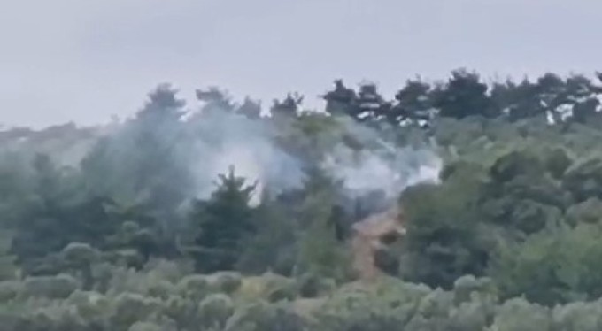 Bursa'da makilik alanda çıkan yangın söndürüldü