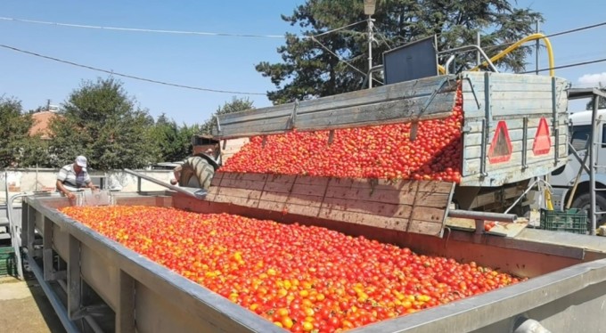 Kadınların ürettiği biber salçası Hollanda'ya ihraç edilecek