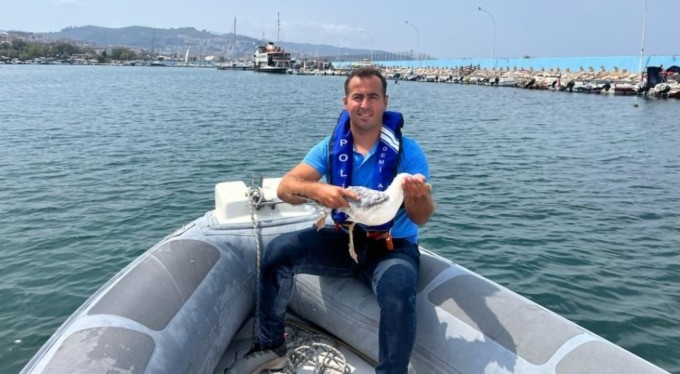 Denizde mahsur kalan martıya polis şefkati