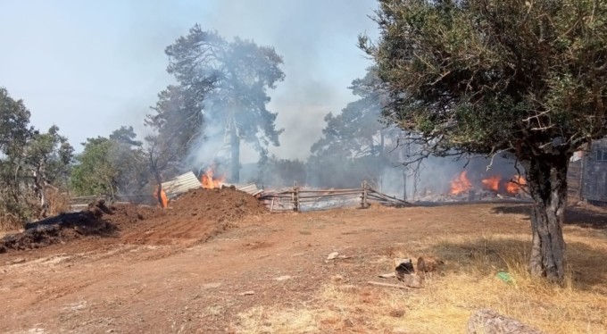 Bursa'da ağıl yangını