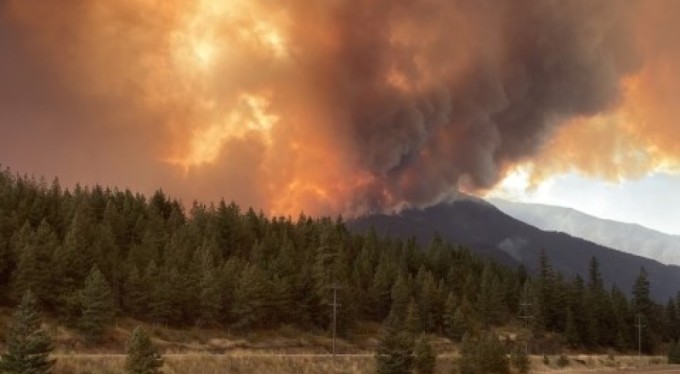 Kanada yanıyor: British Columbia'da acil durum ilan edildi