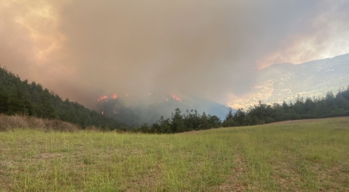 Bursa'da orman yangını!