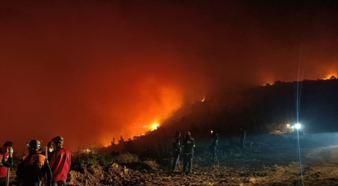 Bursa'daki orman yangını kısmen kontrol altına alındı!