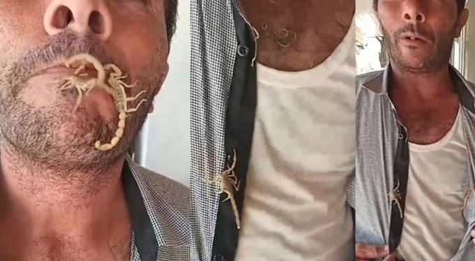 Akreplere kendini sokturdu, 'Hayvan sevgisi' dedi