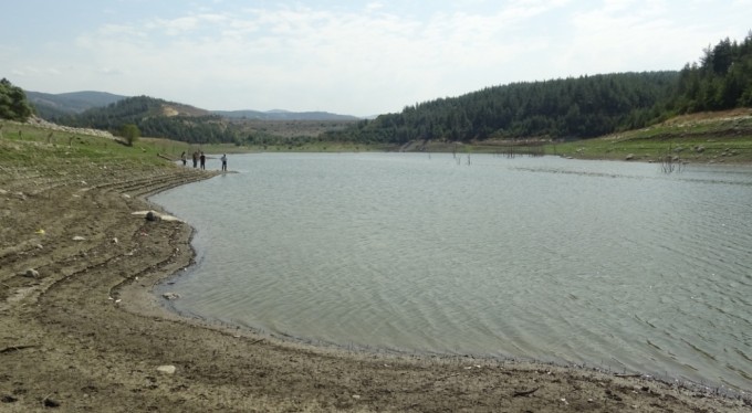 Çınarcık Barajı'nı besleyen Kocasu Deresi'nde tedirgin eden balık ölümleri!