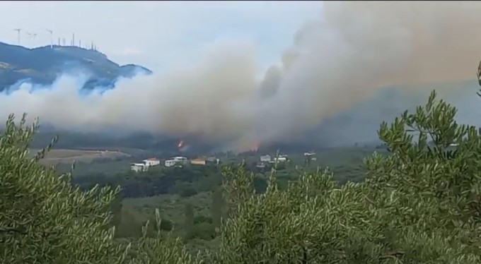 Burs'da korkutan orman yangını!