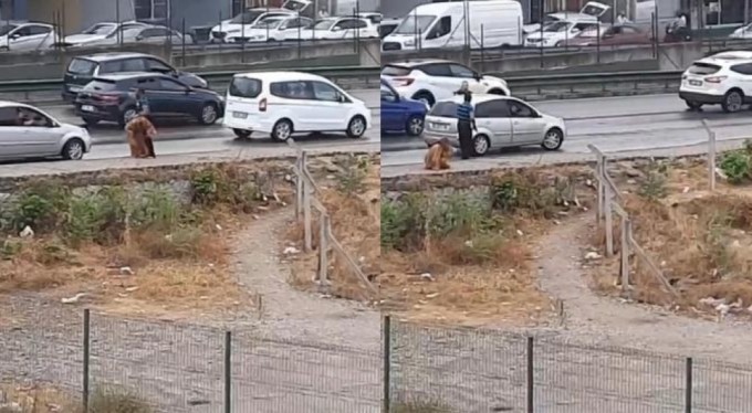 Bursa'da tartıştığı kadını kemerle darp etti!