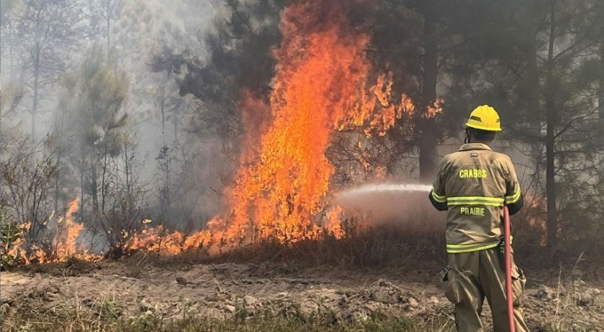 Texas'ta orman yangını: 4 bin 428 dönüm alan yandı