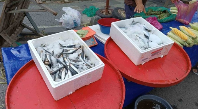 Av sezonu başladı, fiyatlar geriledi