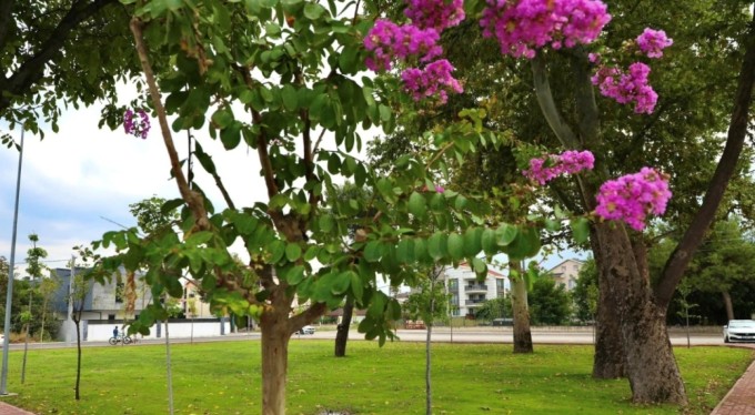 İnegöl Belediyesi çevre düzenlemeleriyle şehri güzelleştiriyor