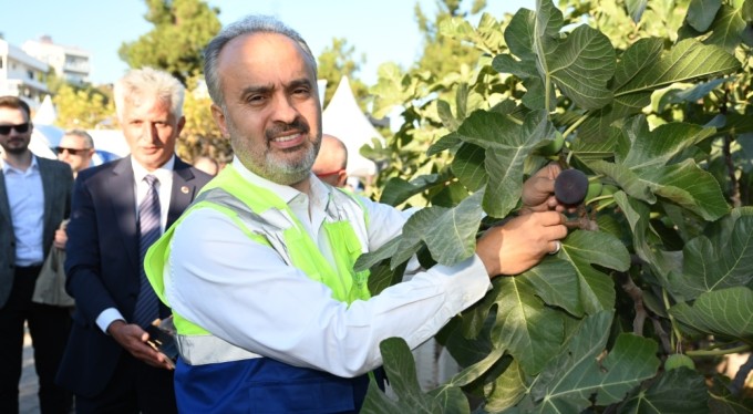 Bursa'nın 'Siyah incisi'nde hasat başladı