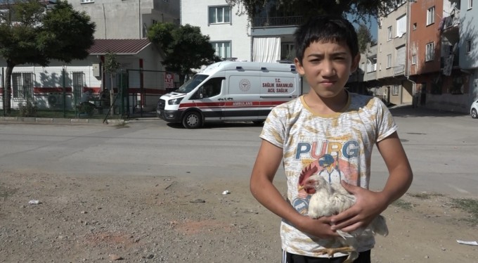 Efsane sona erdi! Sonunda tavuğa pansuman yapıldı