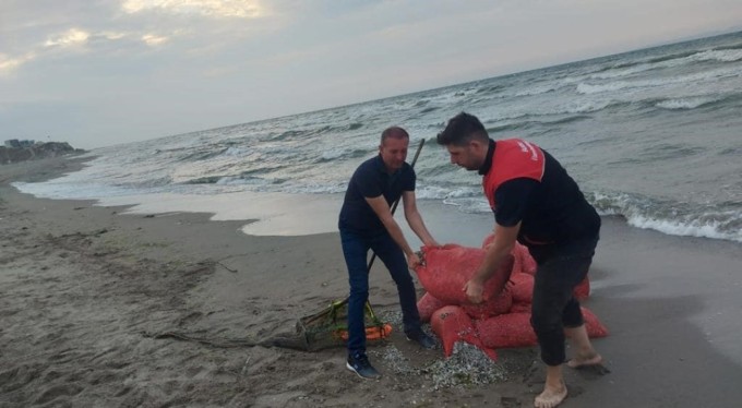 Kaçak avlanılan 5 bin 500 kilo kum şırlanı denize bırakıldı