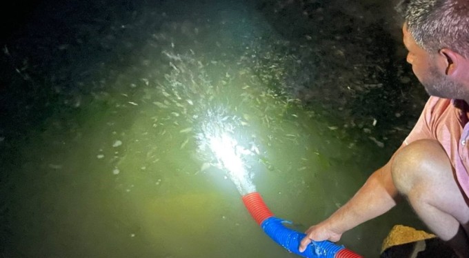 Bursa'daki o göle 2 milyon 200 bin sazan salındı