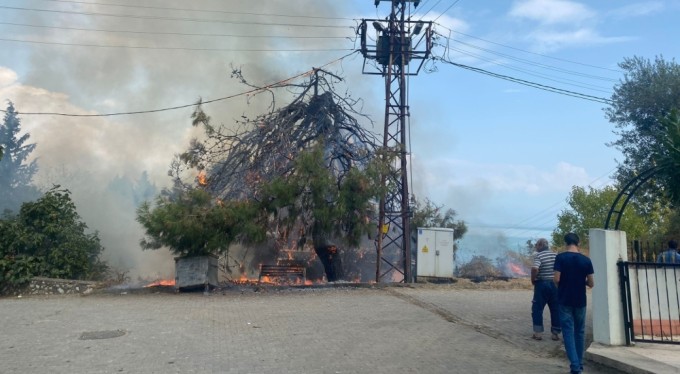 Bursa'da trafo patladı! Ağaçlar ve otluk alan alev aldı