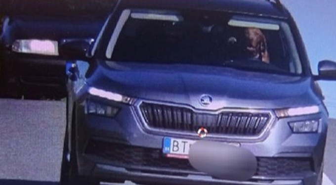 Slovakya'da seyir halindeki aracın direksiyonundaki köpek kameralara yakalandı