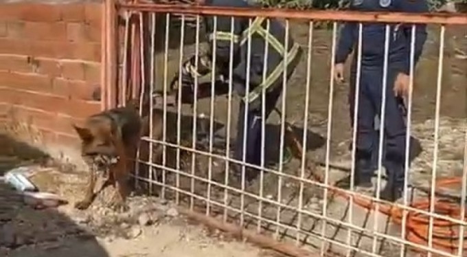 Demir kapıya sıkışan köpeği itfaiye kurtardı