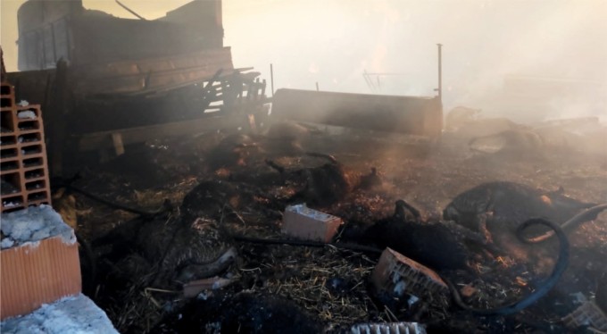 Yangında 44 hayvan telef oldu