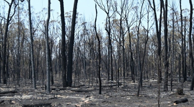 Avusturalya'da orman yangını: 2 ölü