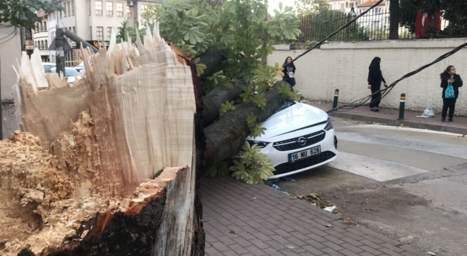 Bursa'da lodos hayatı felç etti!