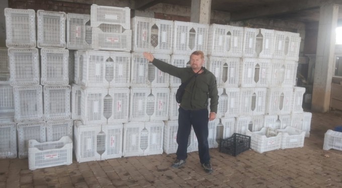 Tarım Kredi zeytin üreticisini yüzüstü bıraktı