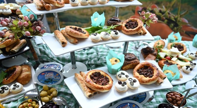 Bursa'nın zeytininde hasat vakti