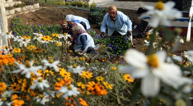 Osmangazi Belediyesi ilçeyi çiçek bahçesine çeviriyor