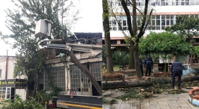 Osmangazi'de lodos mesaisi