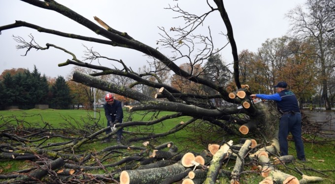 Osmangazi'de lodosun yıktıkları temizleniyor