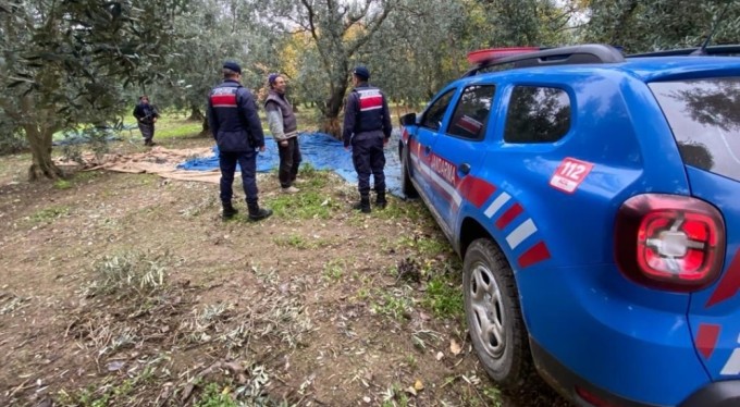 Bursa'da Jandarma zeytin hırsızlarına karşı tedbir aldı!