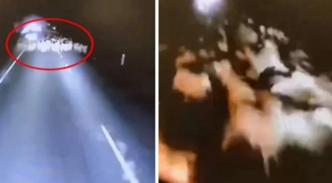 Kamyon, koca sürüyü ezip geçti! Her saniyesi korkunç...