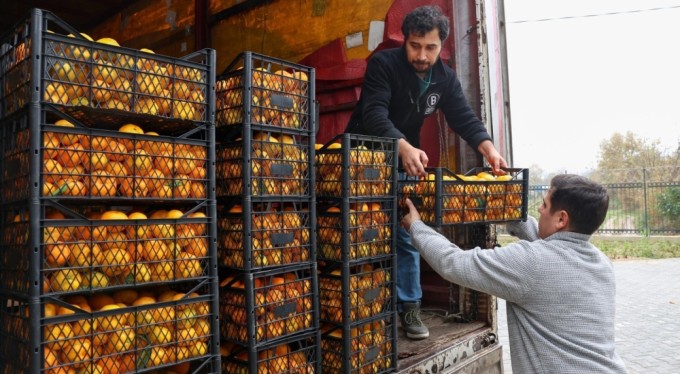 Hatay'ın mandalinasına Nilüfer desteği