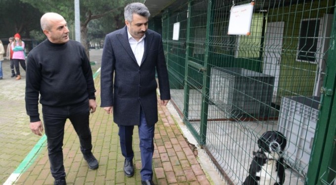 Yıldırım'da can dostlara şefkat eli