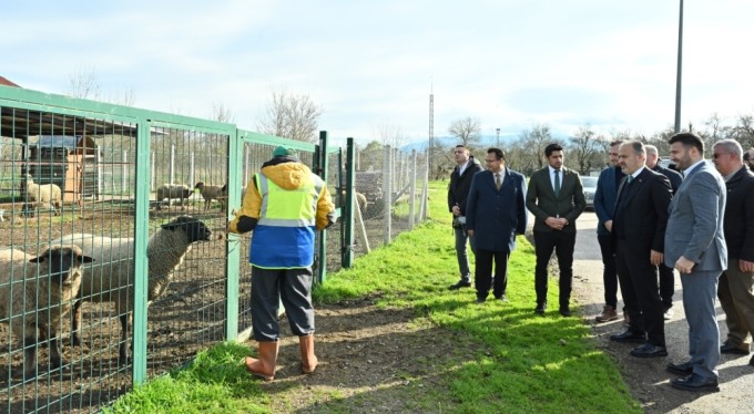 Büyükşehir'le çaresiz değilsiniz