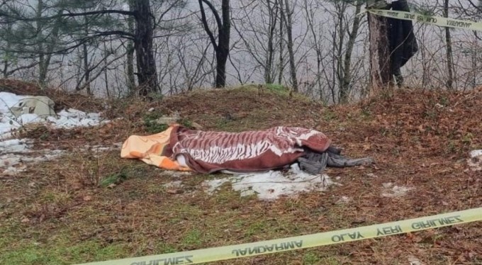 Bursa'da kestiği ağacın altında kalarak hayatını kaybetti!