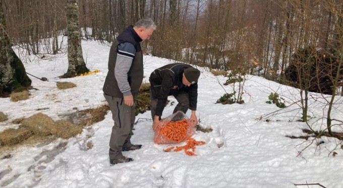 Bursa'da yaban hayvanlarına yem desteği