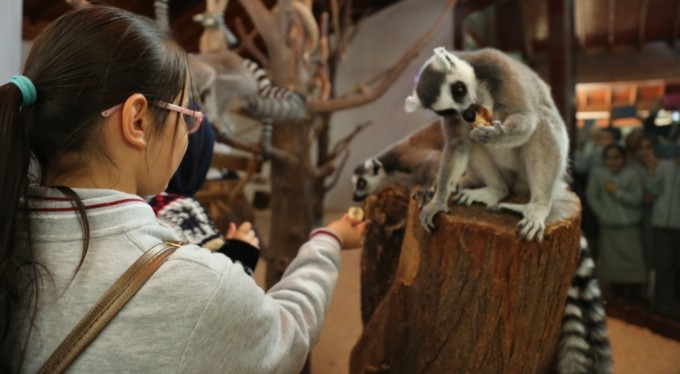 Karne hediyesi; Hayvanat Bahçesi