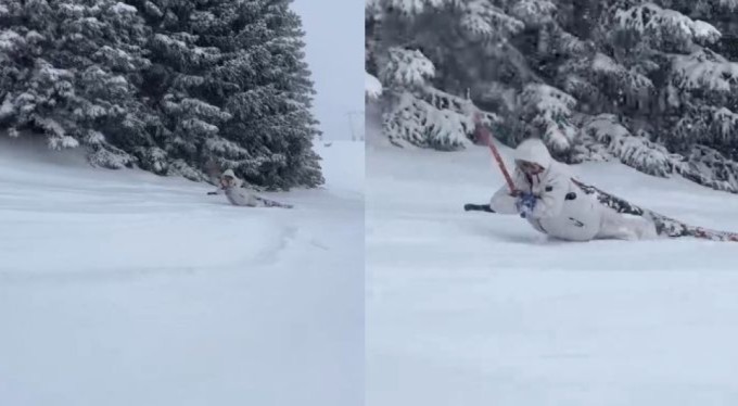 Telesiyej ile çıkarken dengesini kaybetti, sürünerek zirveye çıktı!