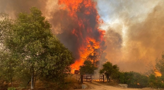 Şili'deki orman yangınlarında 10 kişi öldü, OHAL ilan edildi