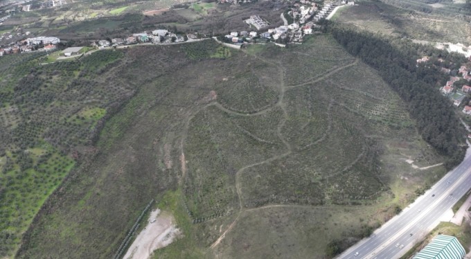 Bursa'da yanan ormanların yerine 48 bin fidan dikildi