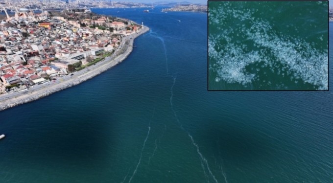 Marmara Denizi'nde korkunç görüntüler! Kilometrelerce uzunlukta denizanası istilası