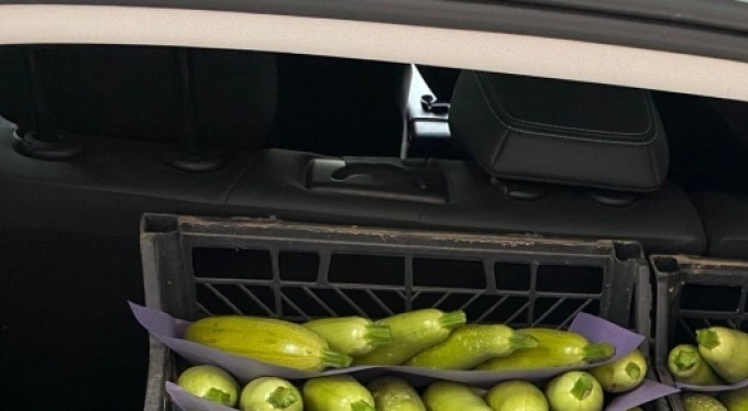 Bursa'da üretilen kabak çiftçinin yüzünü güldürdü