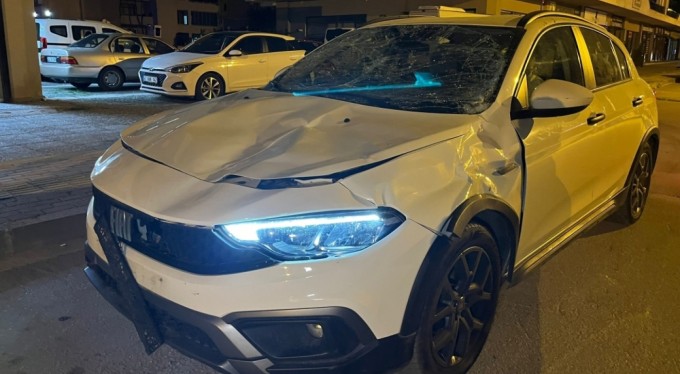 Bursa'da seyir halindeki otomobile at çarptı