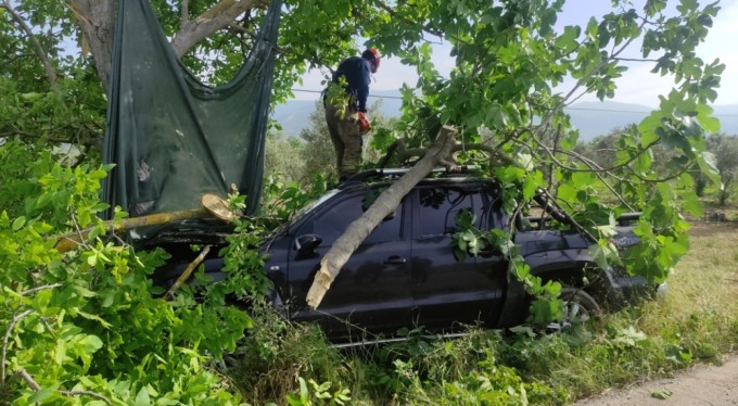 Bursa'da kontrolden çıkan kamyonet ağaca çarptı