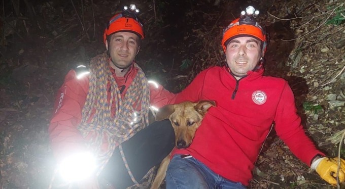 Uludağ'da kayanın üzerinde mahsur kalan köpeğe kurtarma operasyonu